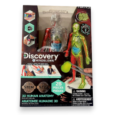 Toy Human Anatomy Kit